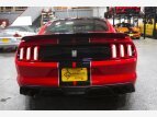 Thumbnail Photo 5 for 2018 Ford Mustang Shelby GT350